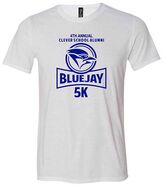 BLUEJAY VIRTUAL web