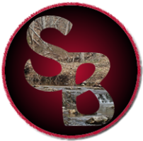 SB LOGO.png