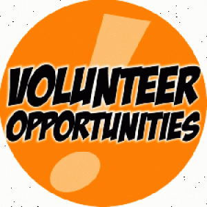 Volunteer ad.jpg