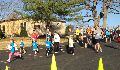 IMG 1094