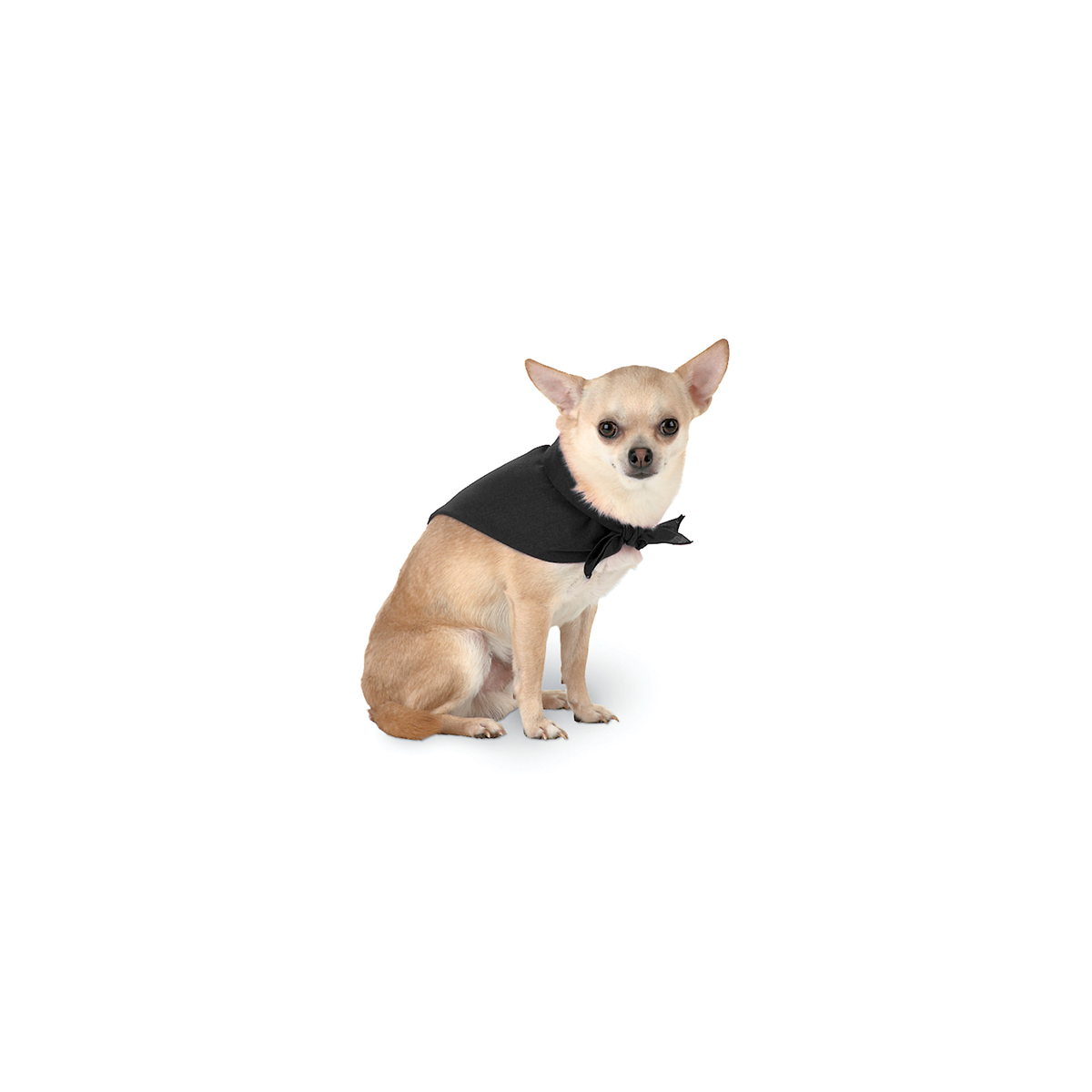 Doggie Bandanna CLEARANCE